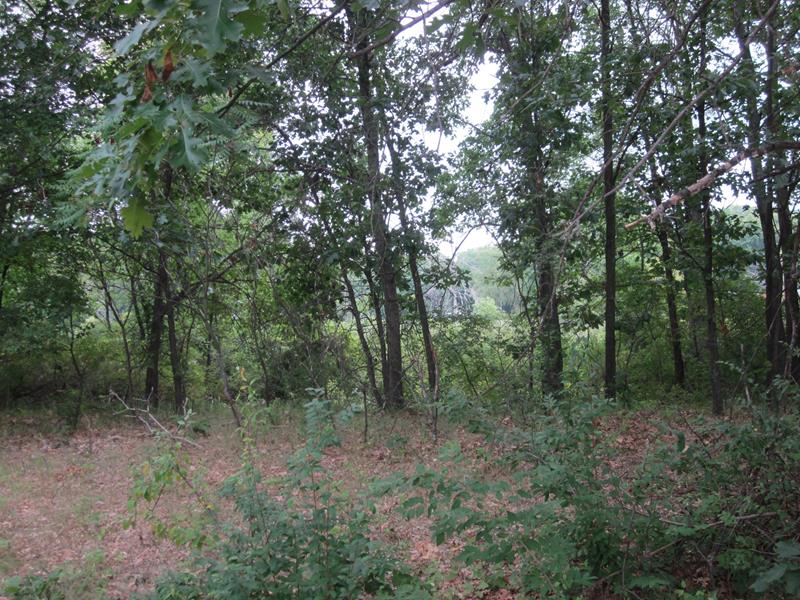 Click on the photo to see a larger photo